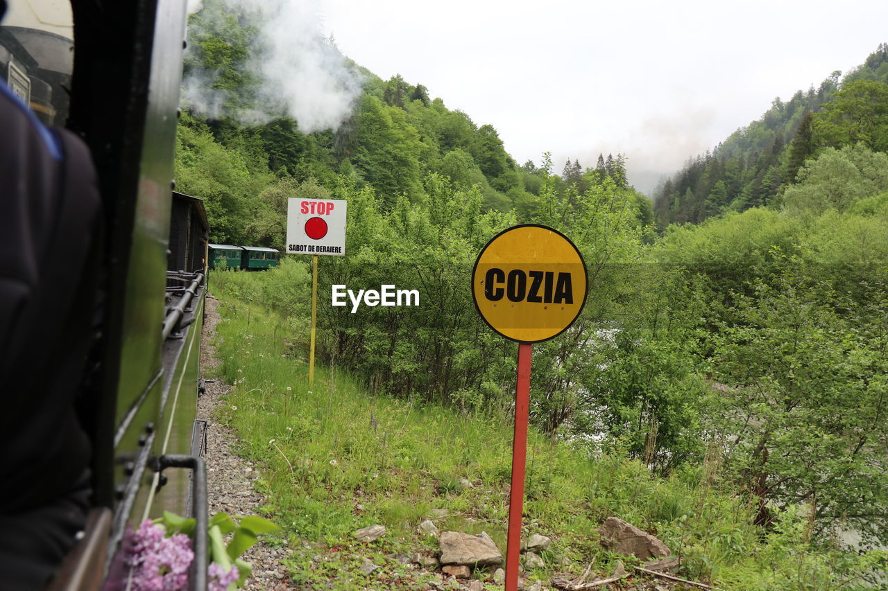 Information sign on road amidst trees