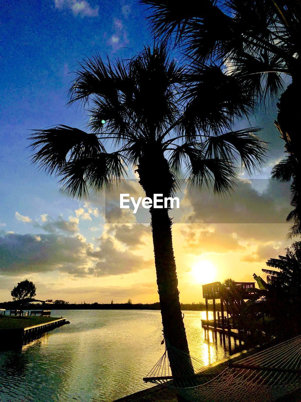 SILHOUETTE PALM TREE AT BEACH DURING SUNSET