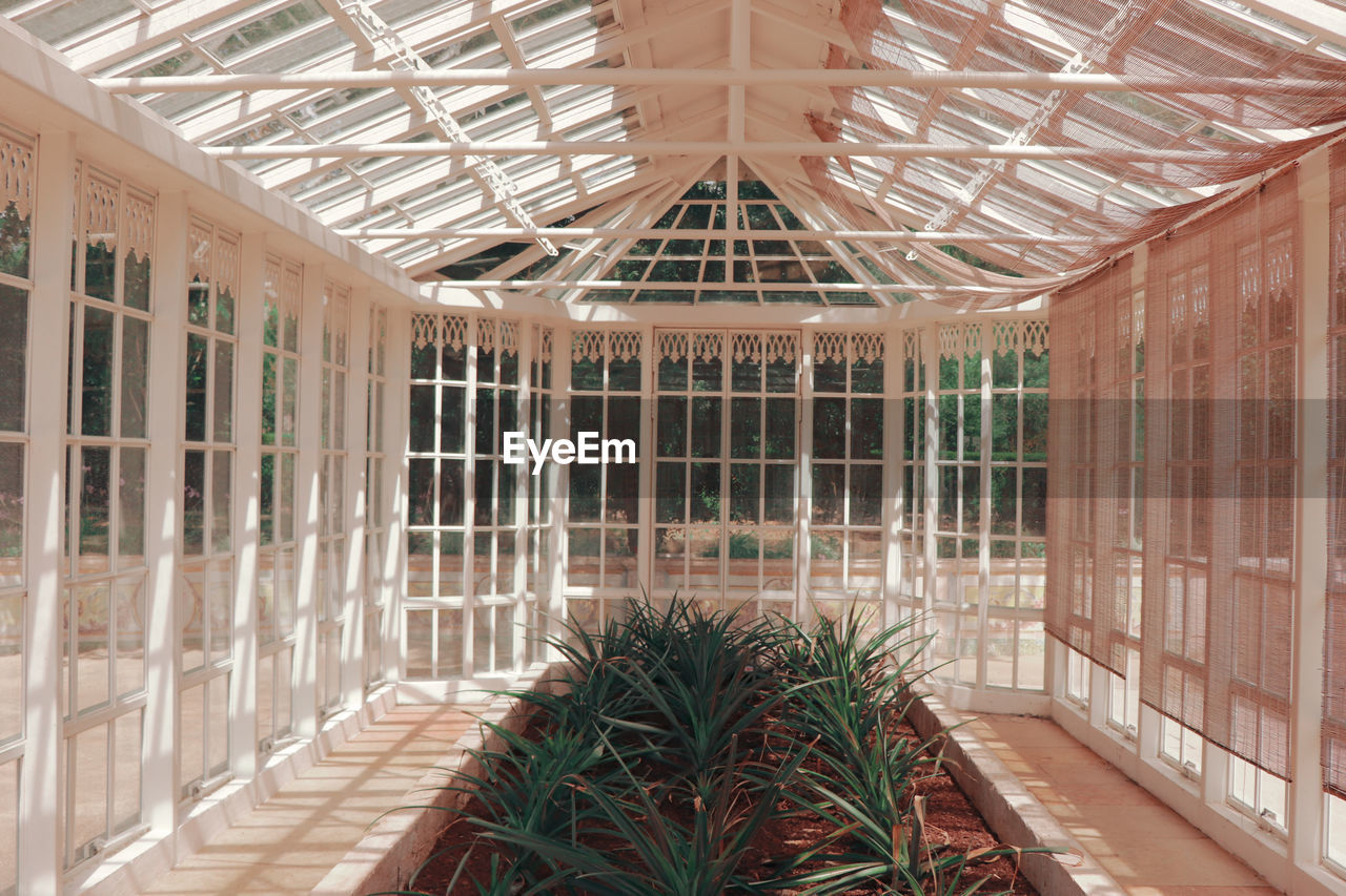 Interior of greenhouse