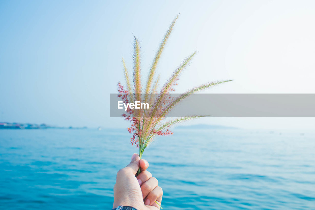Cropped hand holding person holding plant by sea against clear sky