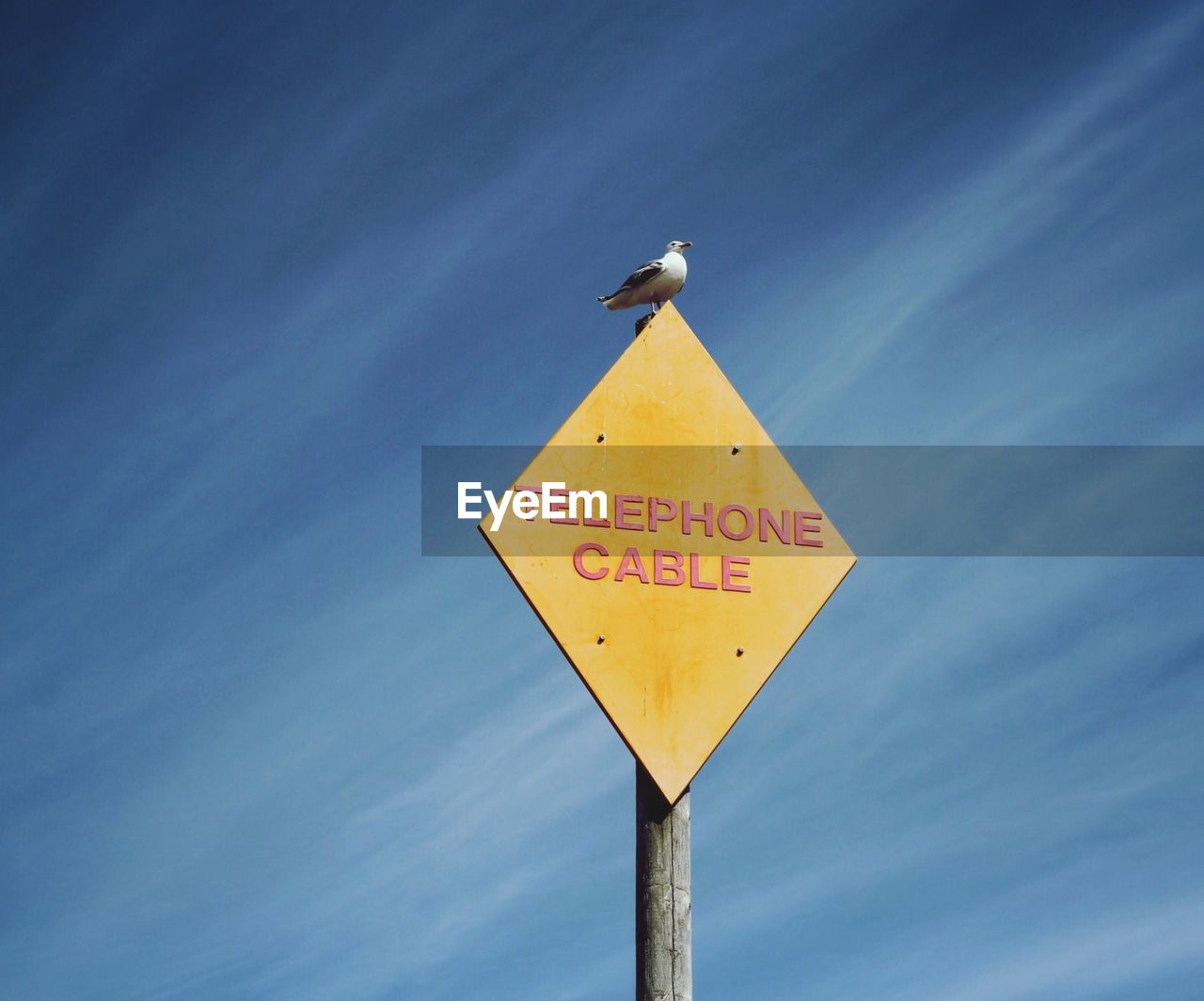 LOW ANGLE VIEW OF ROAD SIGNS AGAINST BLUE SKY