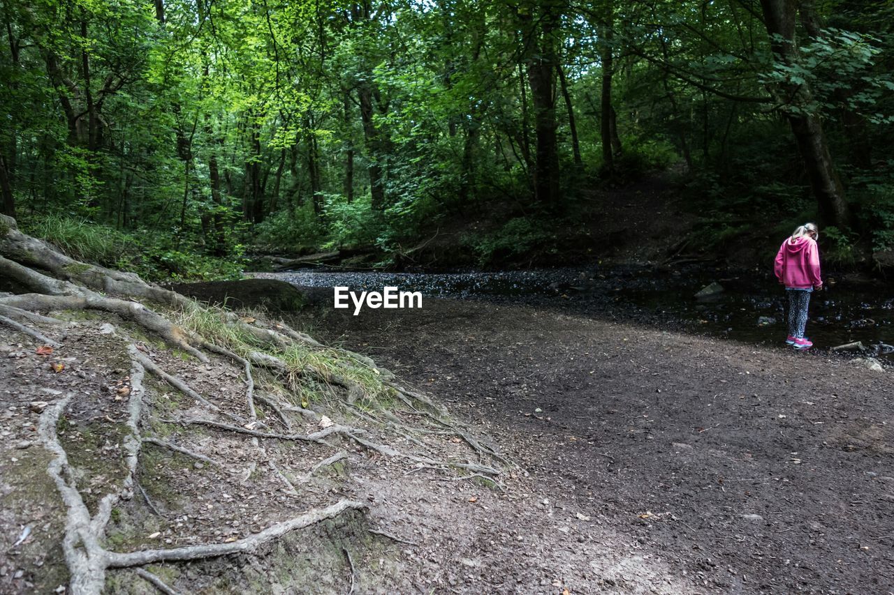 Rear view of girl standing by stream in forest