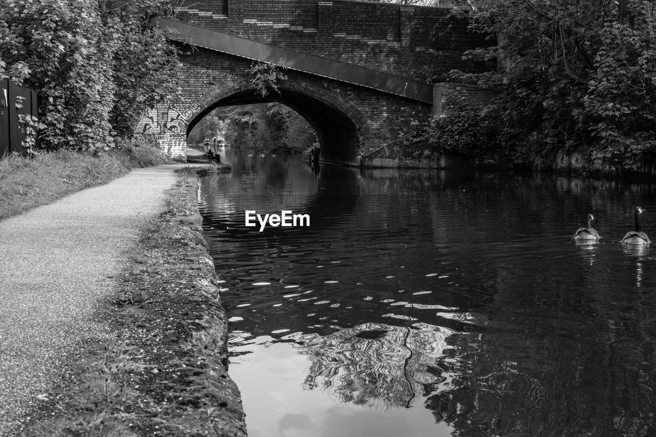 BRIDGE OVER RIVER AMIDST TREES