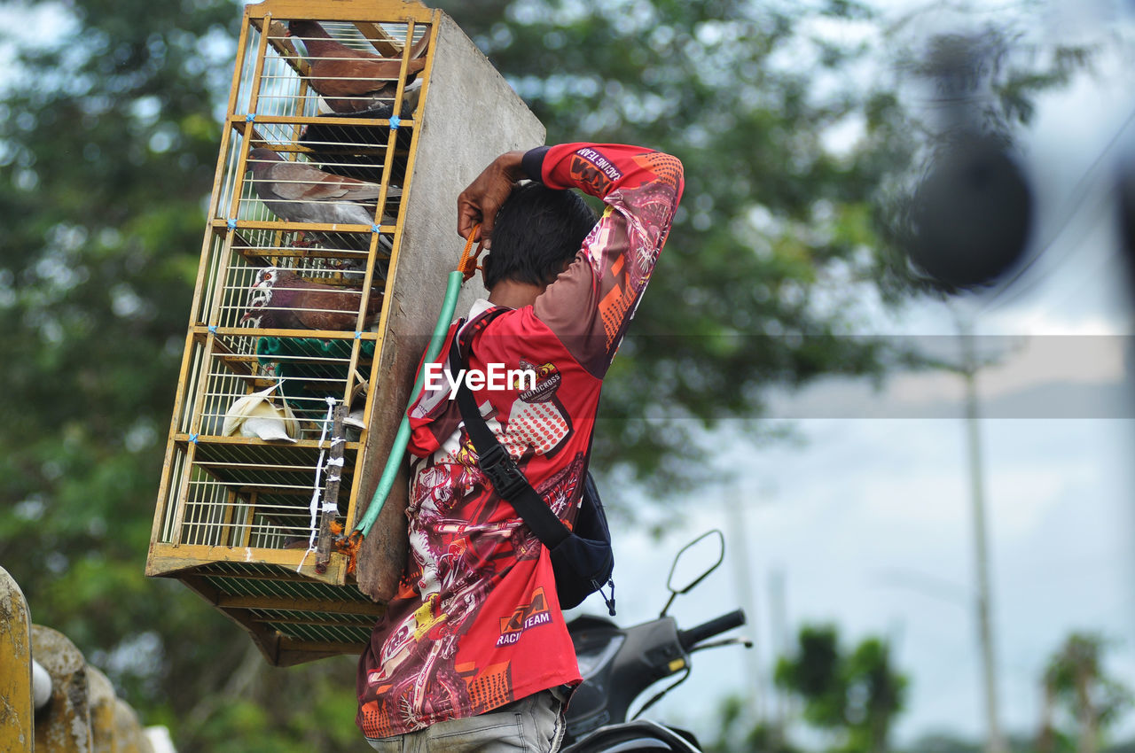 Pigeon racing jockeys release dozens of pigeons at a certain distance in nusawungu, cilacap.