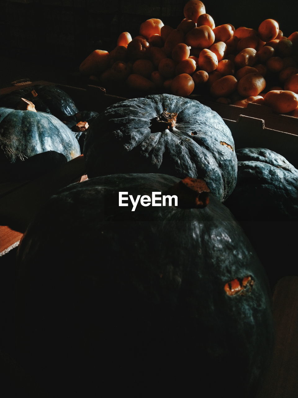 HIGH ANGLE VIEW OF PUMPKINS IN MARKET