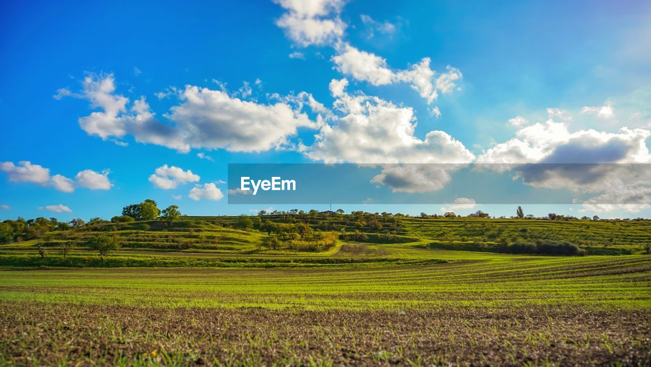 SCENIC VIEW OF FARM AGAINST SKY