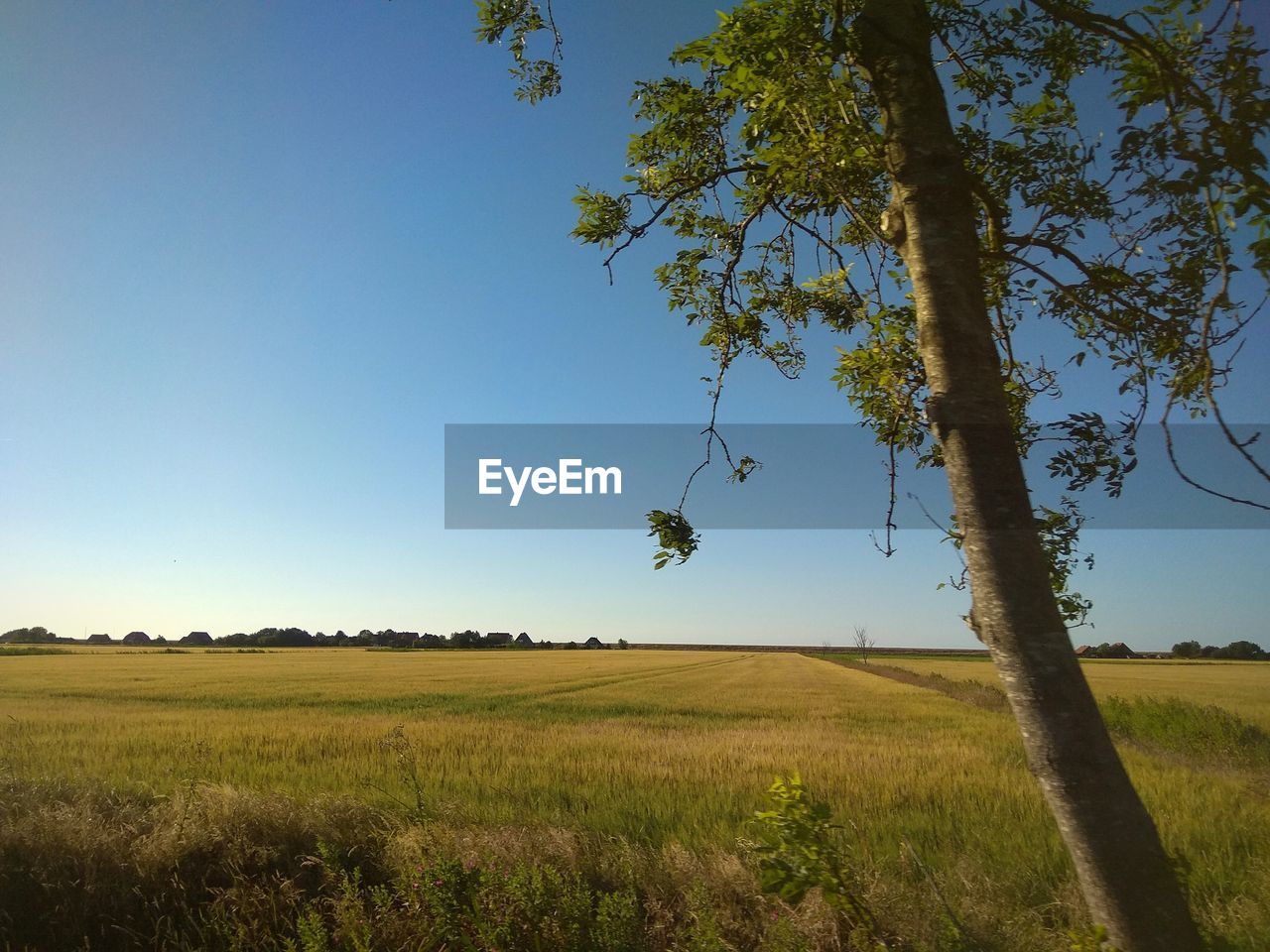 SCENIC VIEW OF LAND AGAINST CLEAR SKY