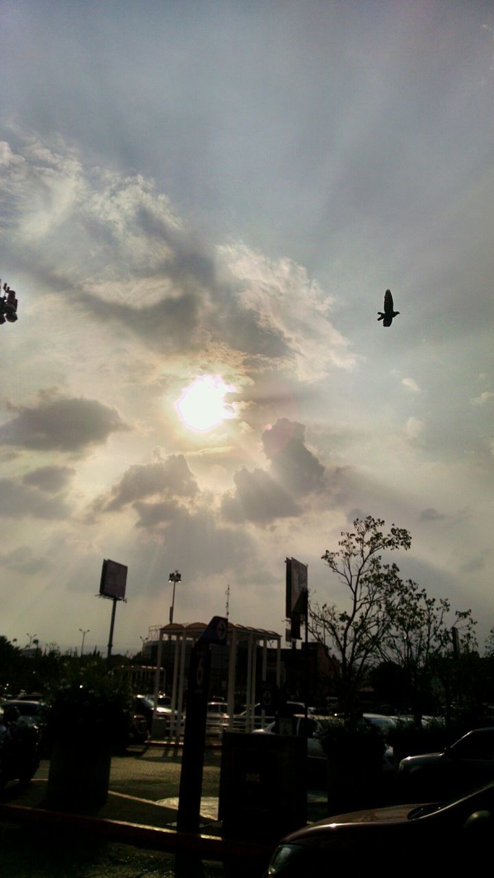 VIEW OF ROAD AT SUNSET