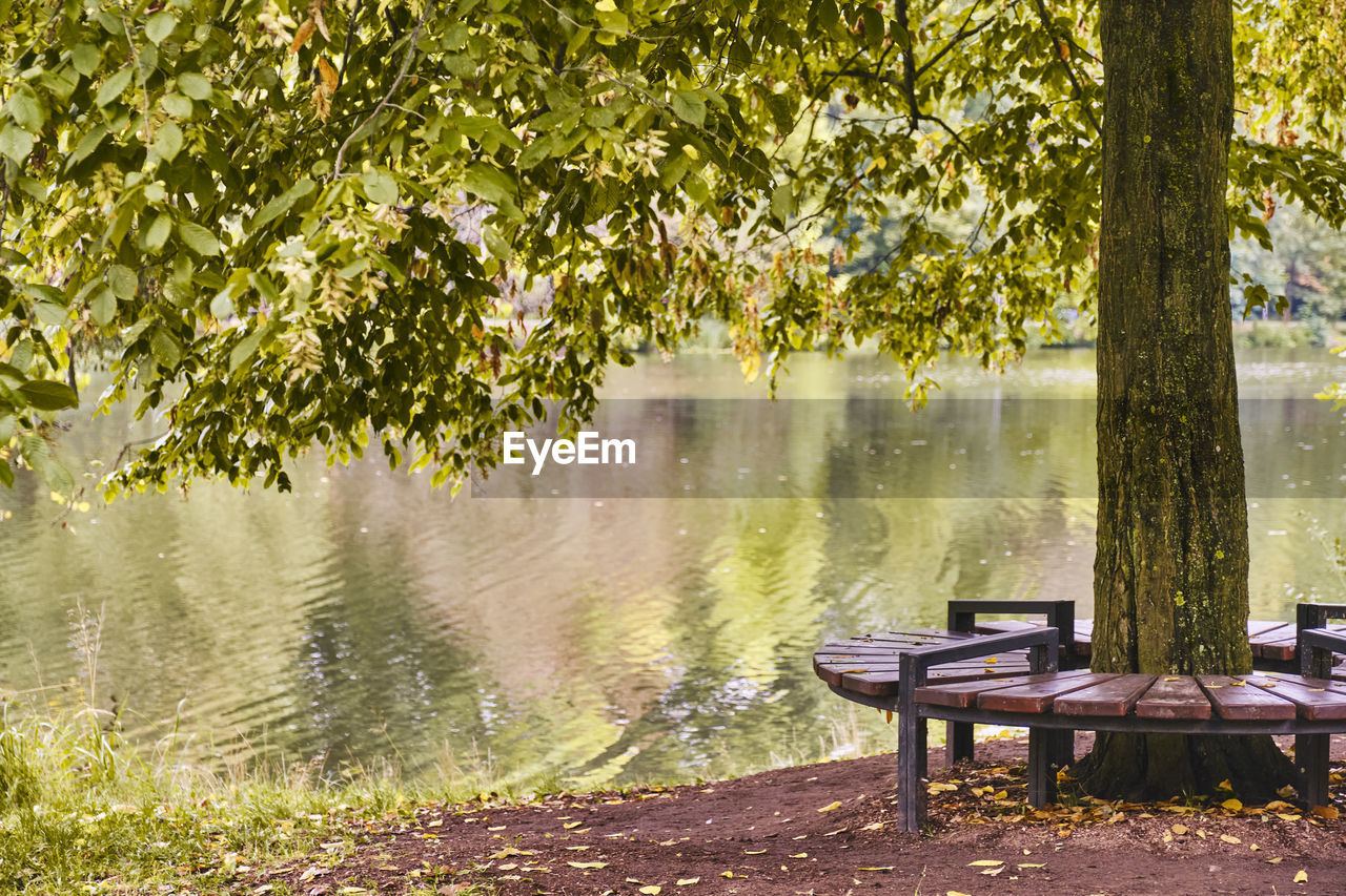 EMPTY BENCH BY LAKE IN PARK