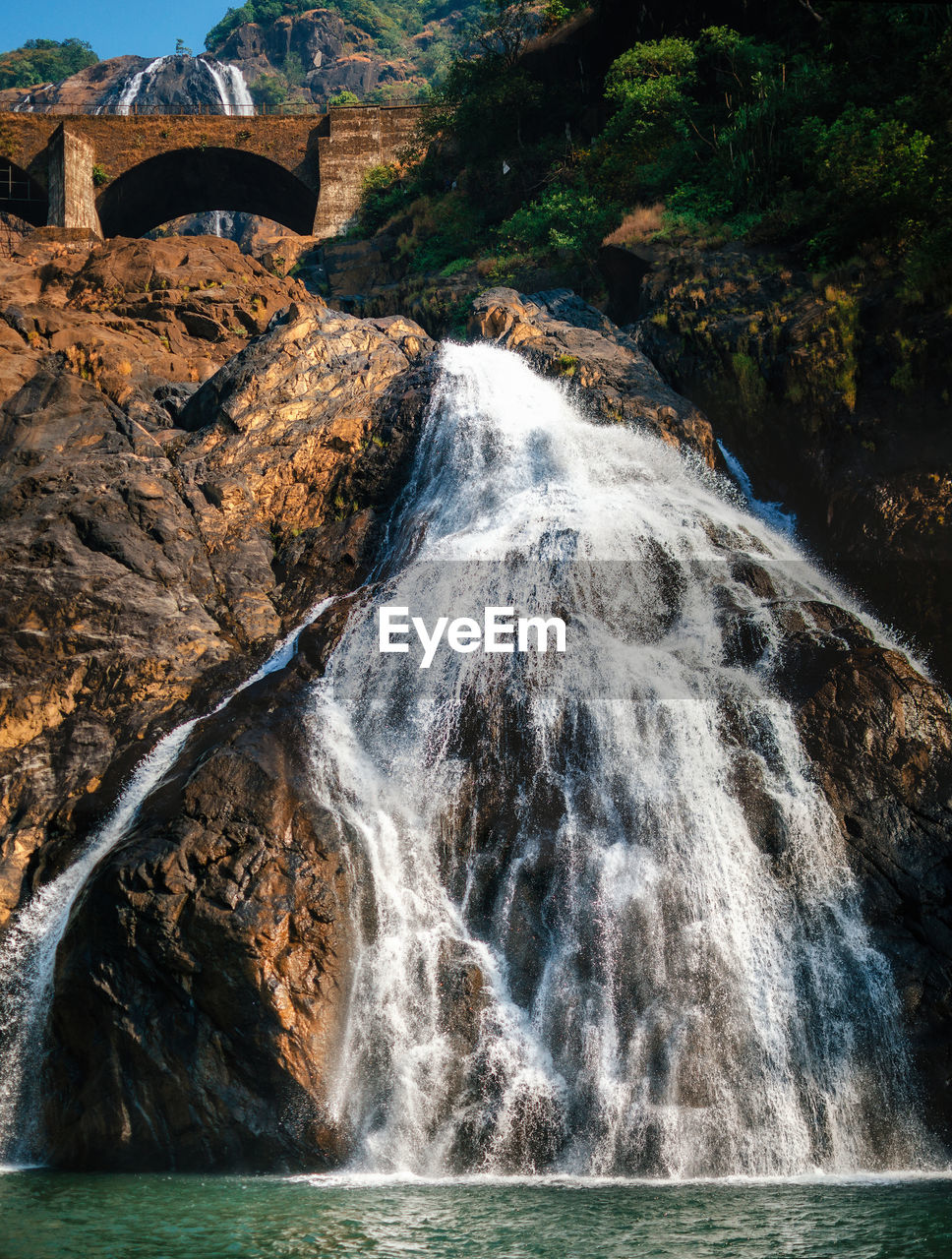 Stream flowing through forest