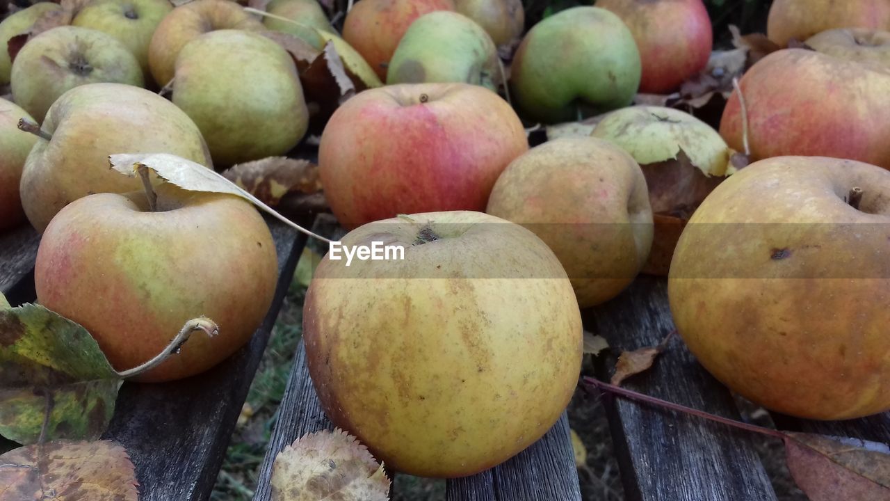 CLOSE-UP OF APPLES FOR SALE