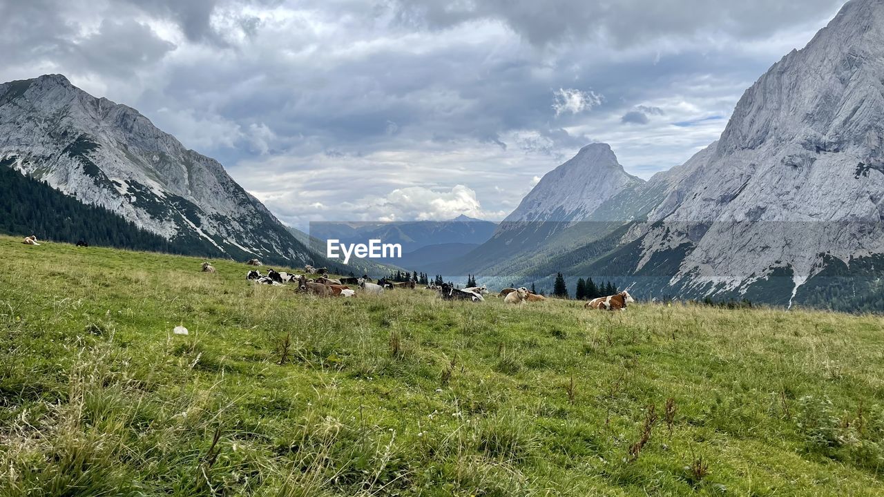 SCENIC VIEW OF LANDSCAPE AND MOUNTAINS
