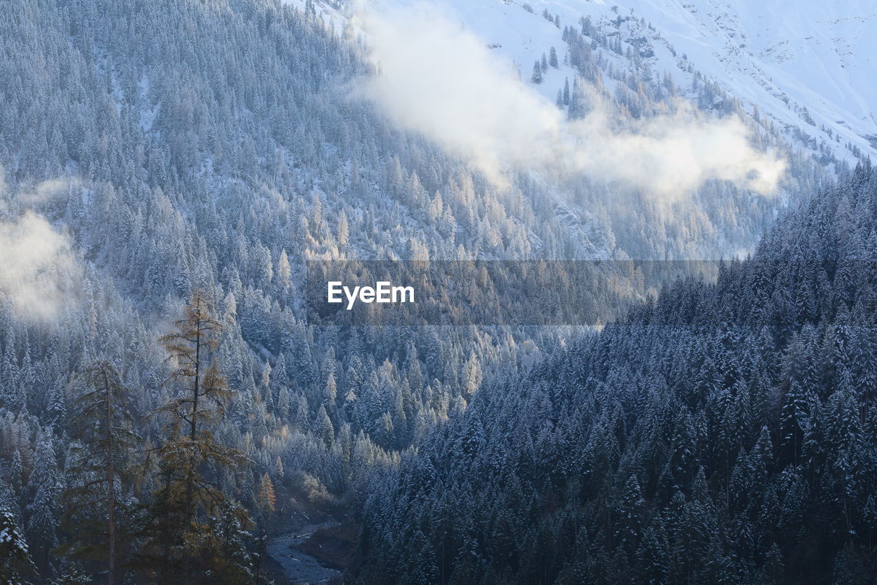 High angle view of snow covered land