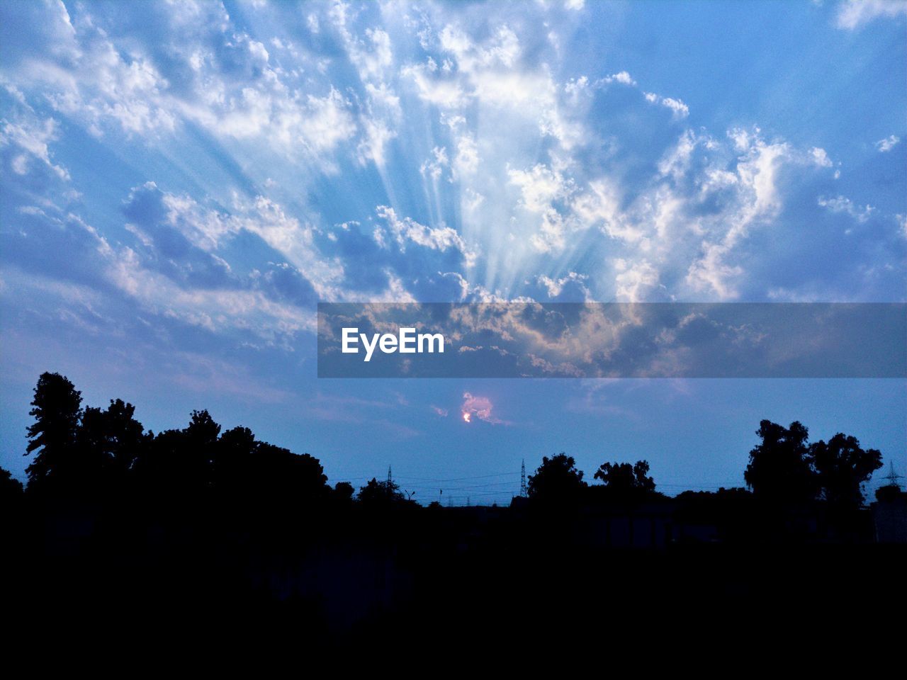 VIEW OF SILHOUETTE TREES AGAINST SKY