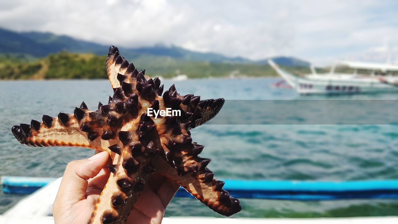 CLOSE-UP OF HAND HOLDING STARFISH AGAINST SEA