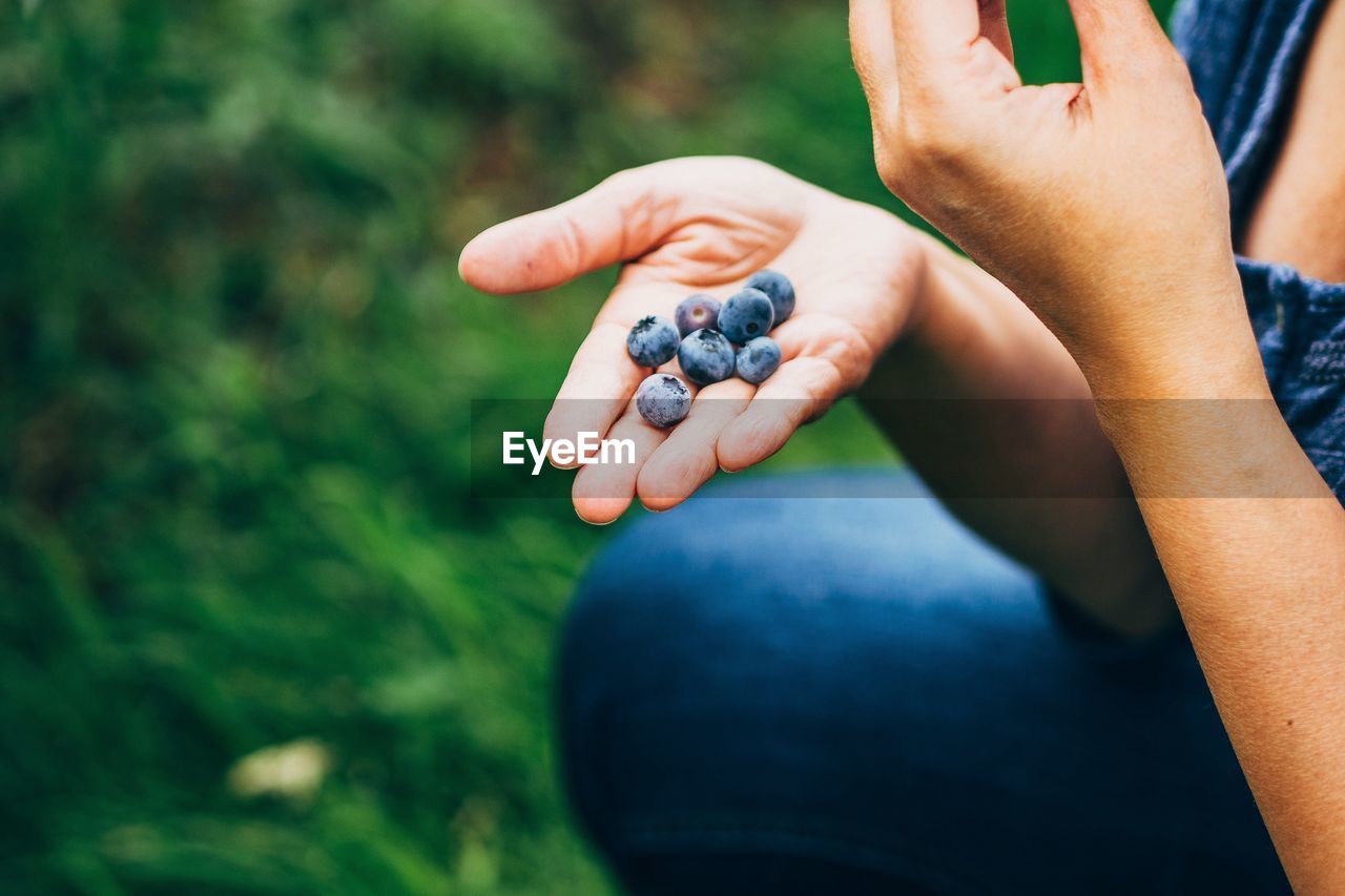 Cropped image of woman holding blueberries