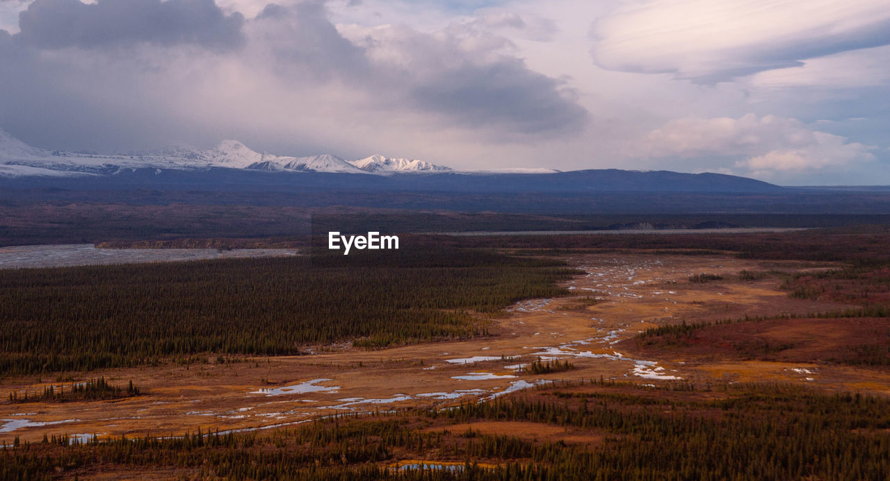 Scenic view of denali national park