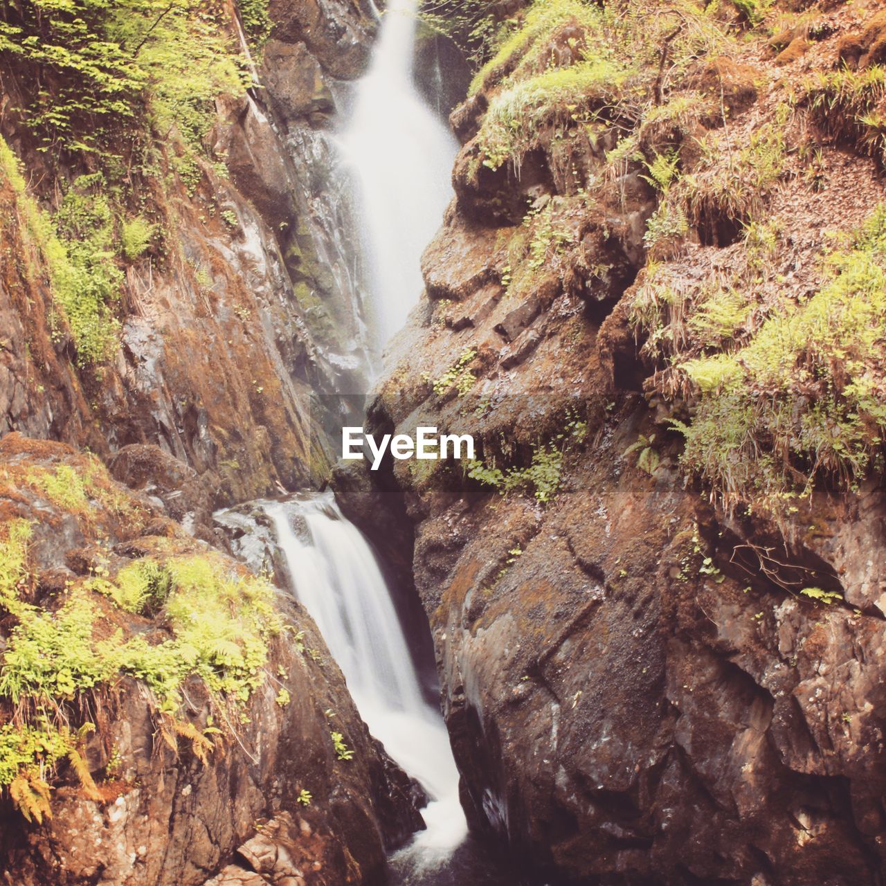 Scenic view of waterfall in forest