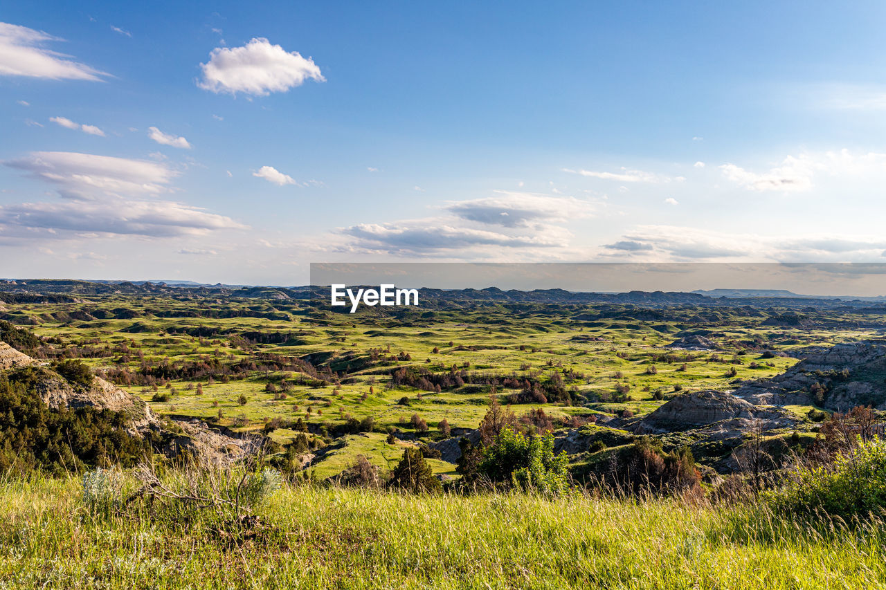 SCENIC VIEW OF LANDSCAPE