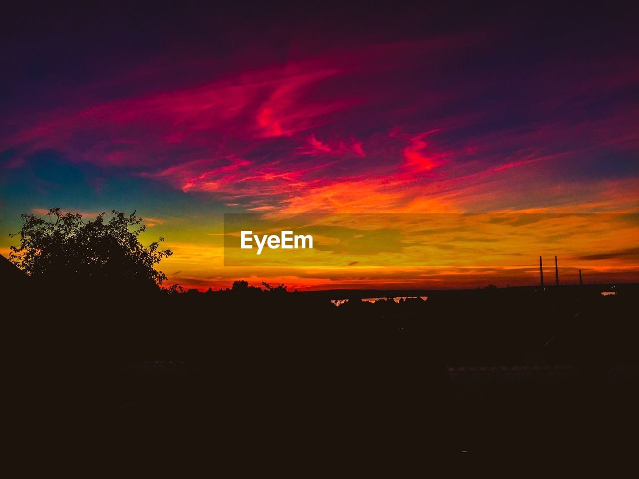 SILHOUETTE OF TREES AT SUNSET