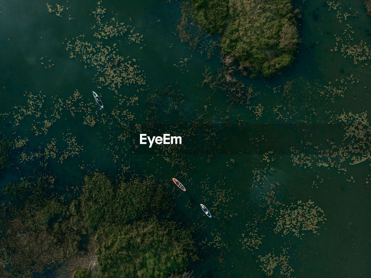 Top view of tourists on lake with sup-boards. 