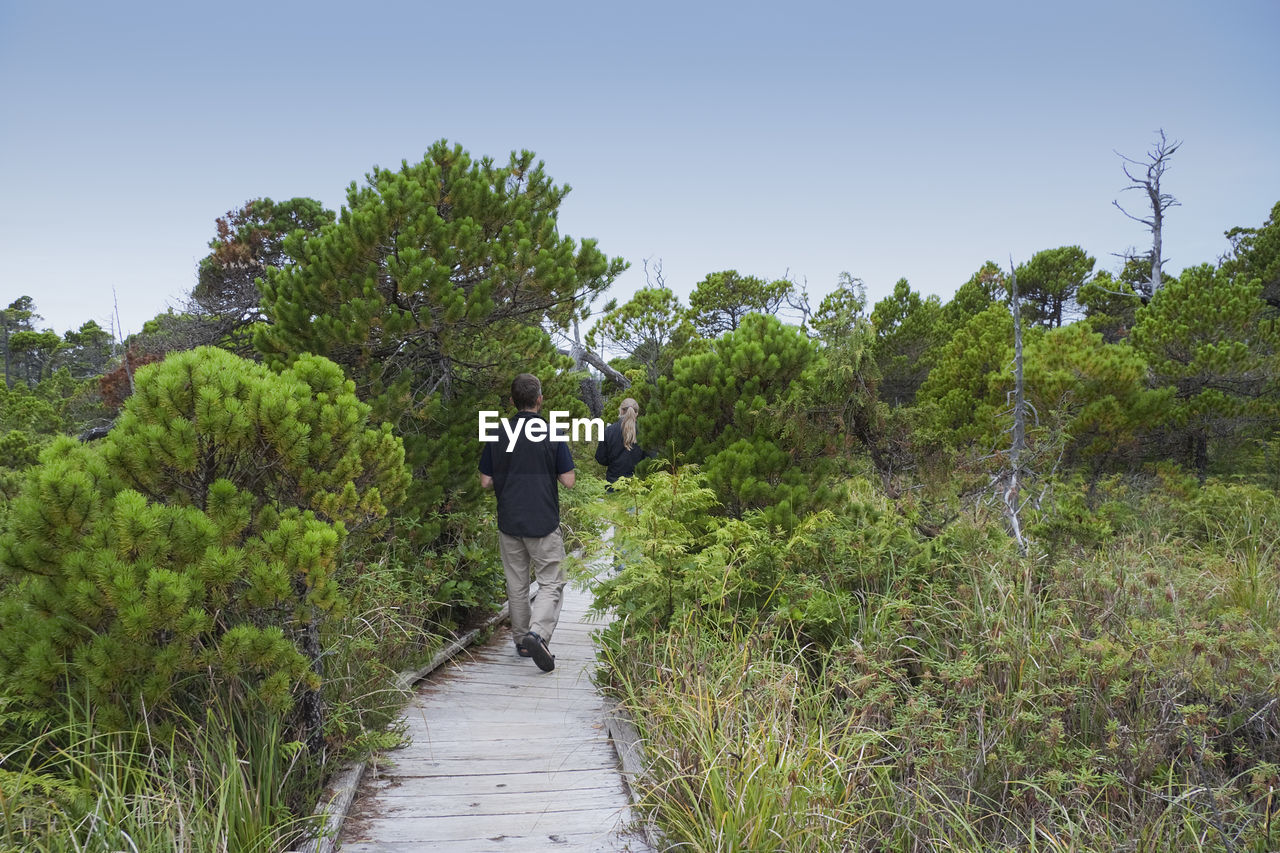 Rear view of man and woman walking on boardwalk amidst trees