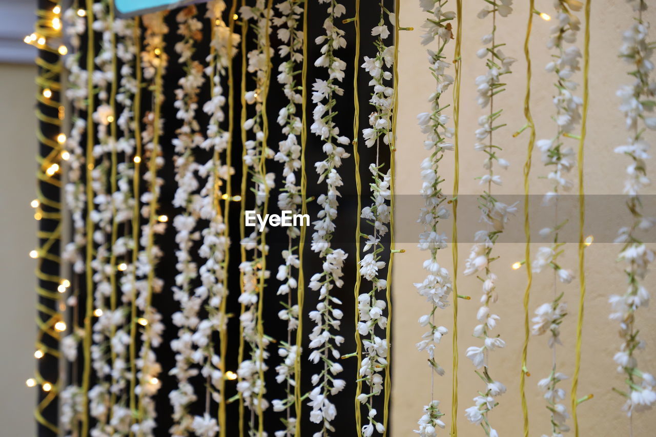 Close-up of floral garlands during event