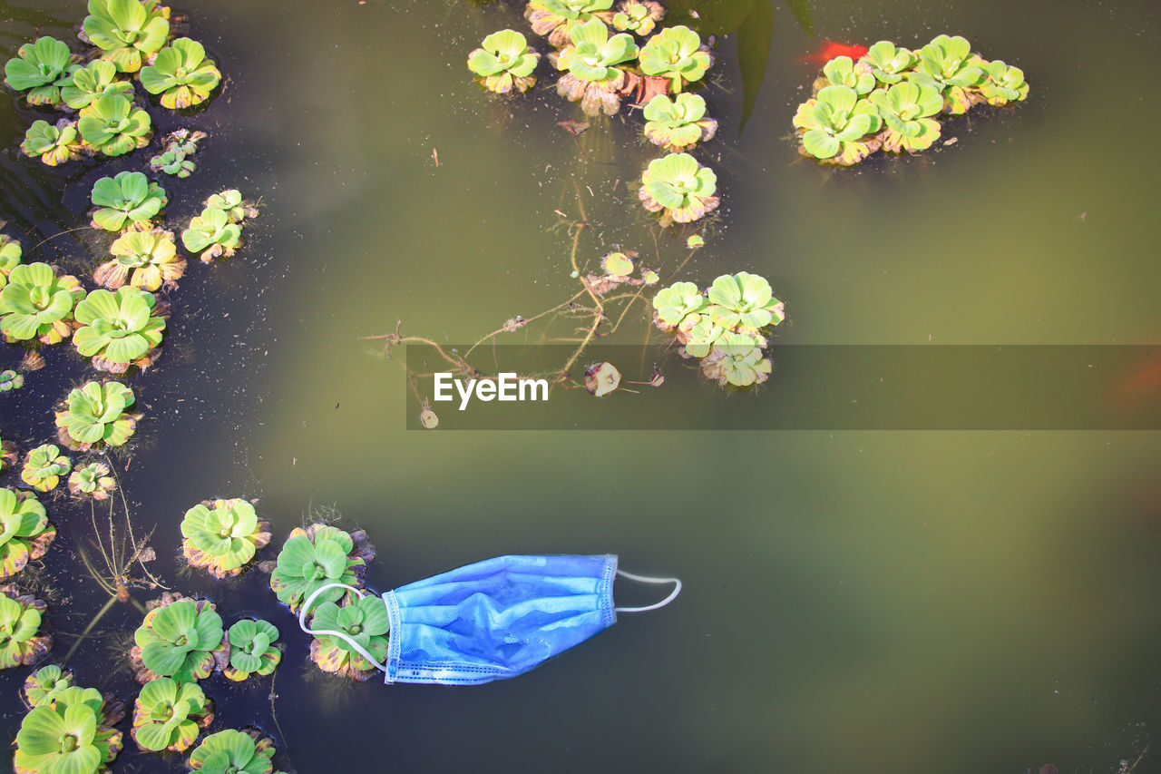 High angle view of discarded surgical mask in a pond
