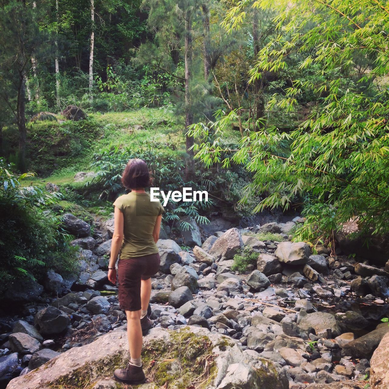 Rear view of woman standing on rock