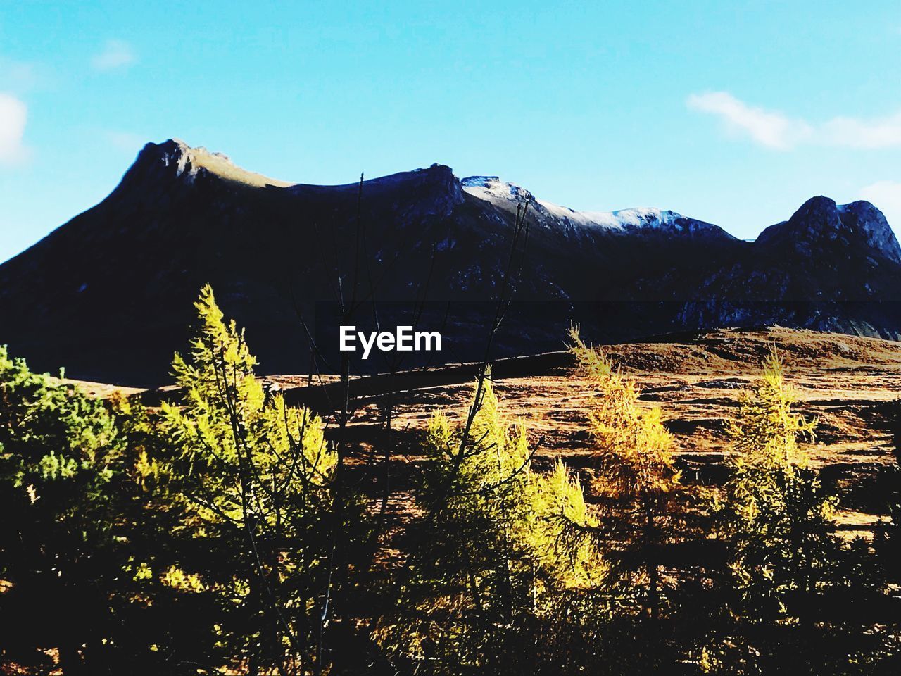 PANORAMIC VIEW OF TREES AND MOUNTAINS AGAINST SKY