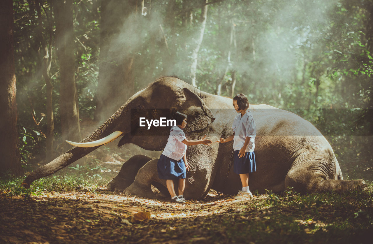 Schoolgirls giving handshake by elephant in forest