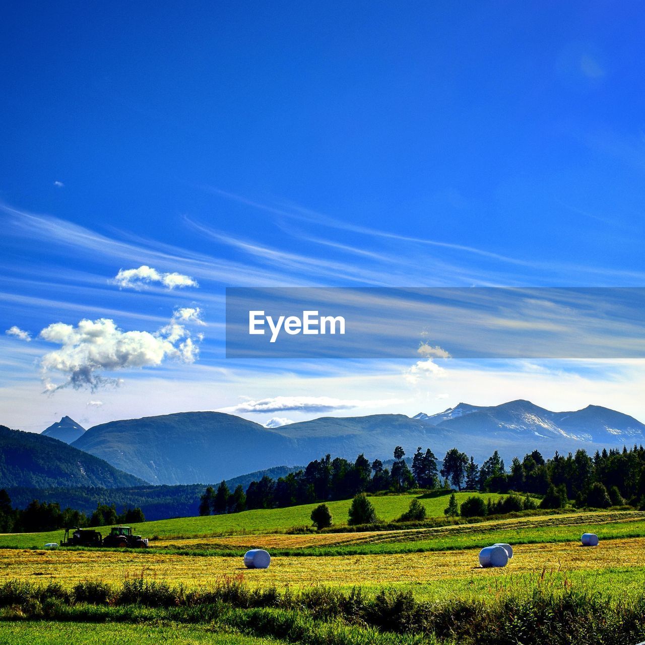 Scenic view of agricultural field against blue sky