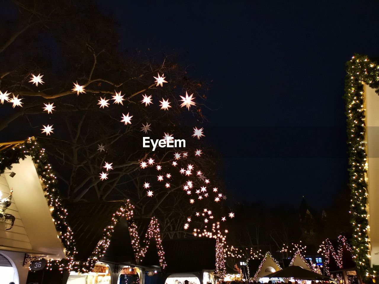 LOW ANGLE VIEW OF CHRISTMAS TREE AGAINST SKY