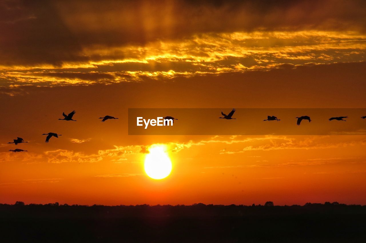 Silhouette landscape at sunset