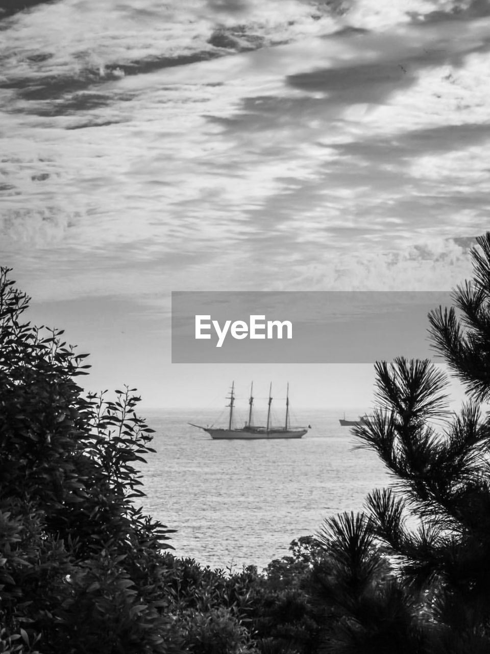 Sailboat sailing on sea against sky