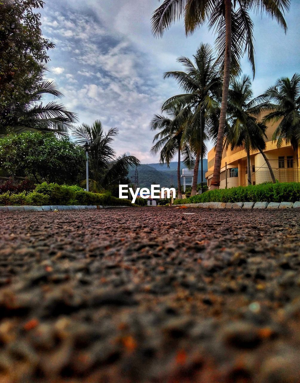 SURFACE LEVEL VIEW OF ROAD BY TREES AGAINST SKY