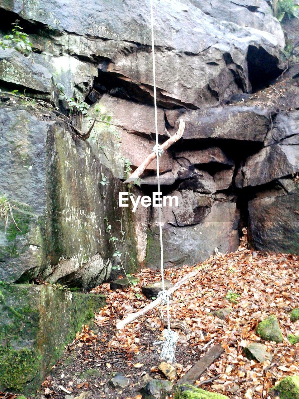 Sticks tied up to rope against rocks