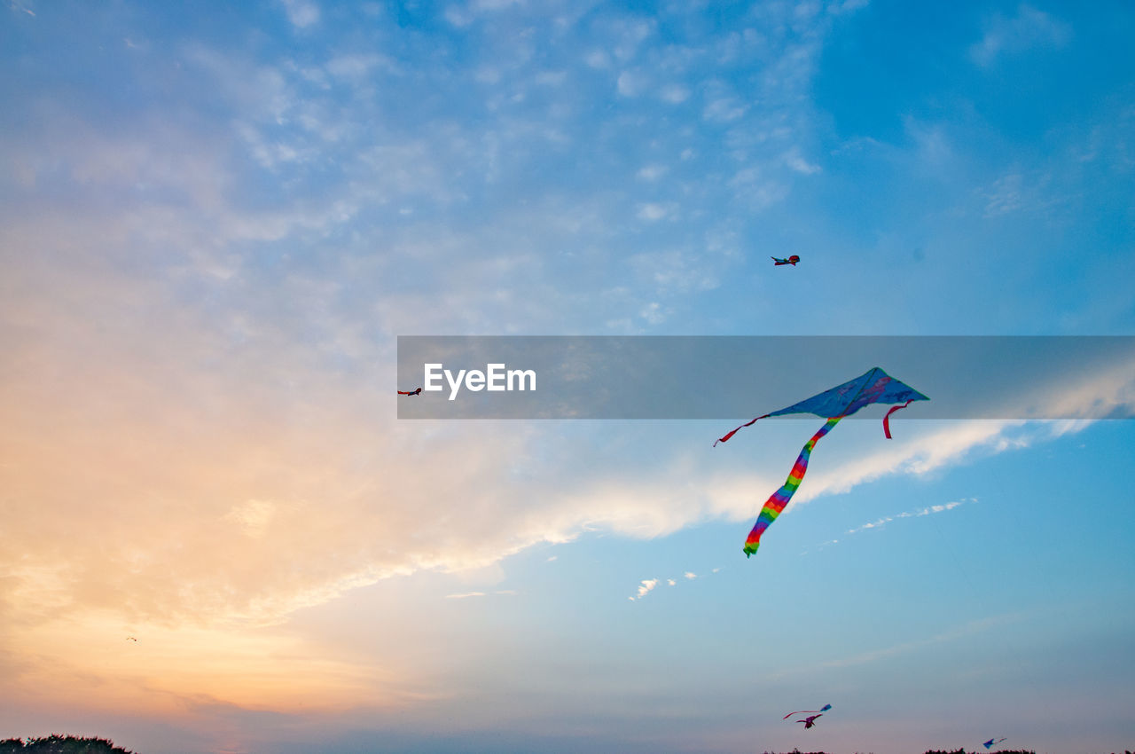 Kites in the evening sky.