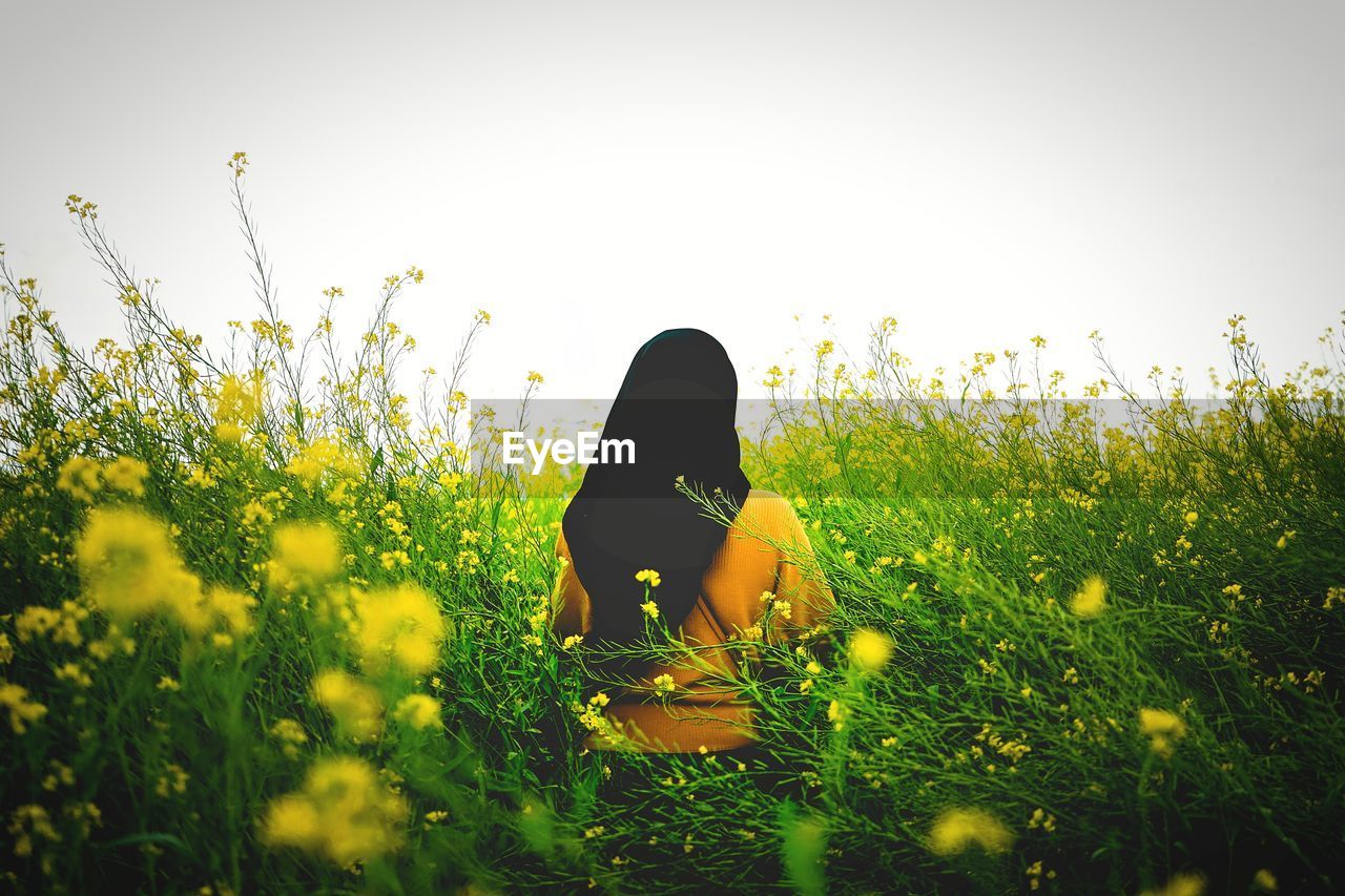 Rear view of woman by yellow flowering plants against clear sky