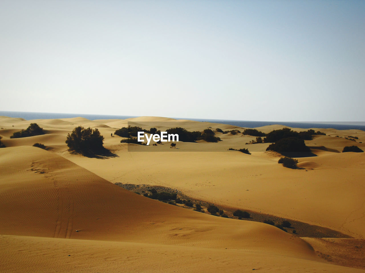 Scenic view of desert against clear sky