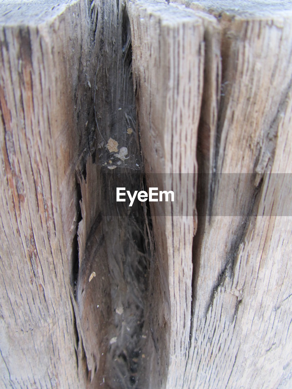 VIEW OF WOOD