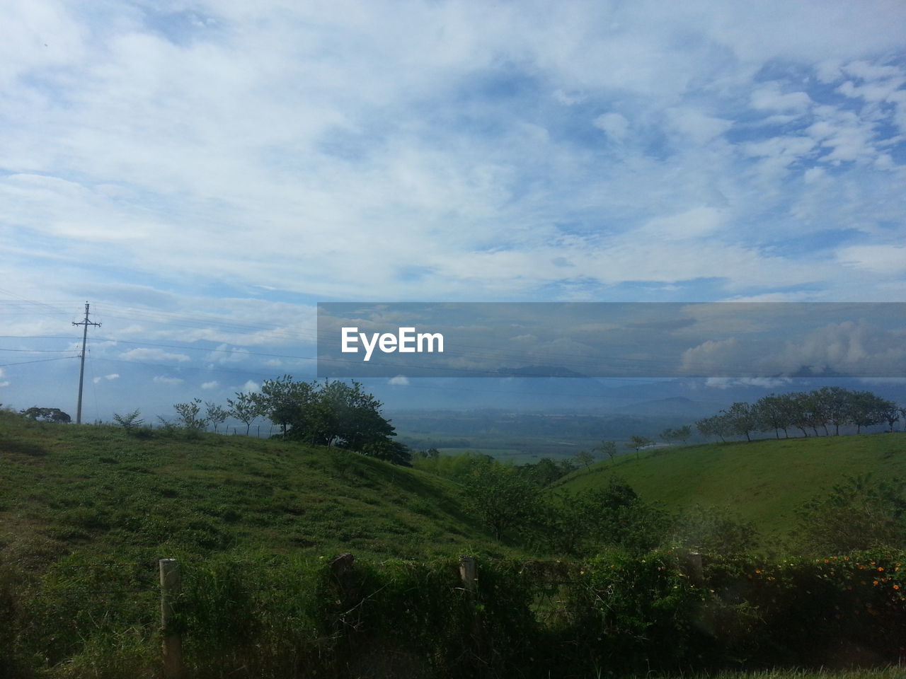 TREES ON GRASSY FIELD AGAINST CLOUDY SKY