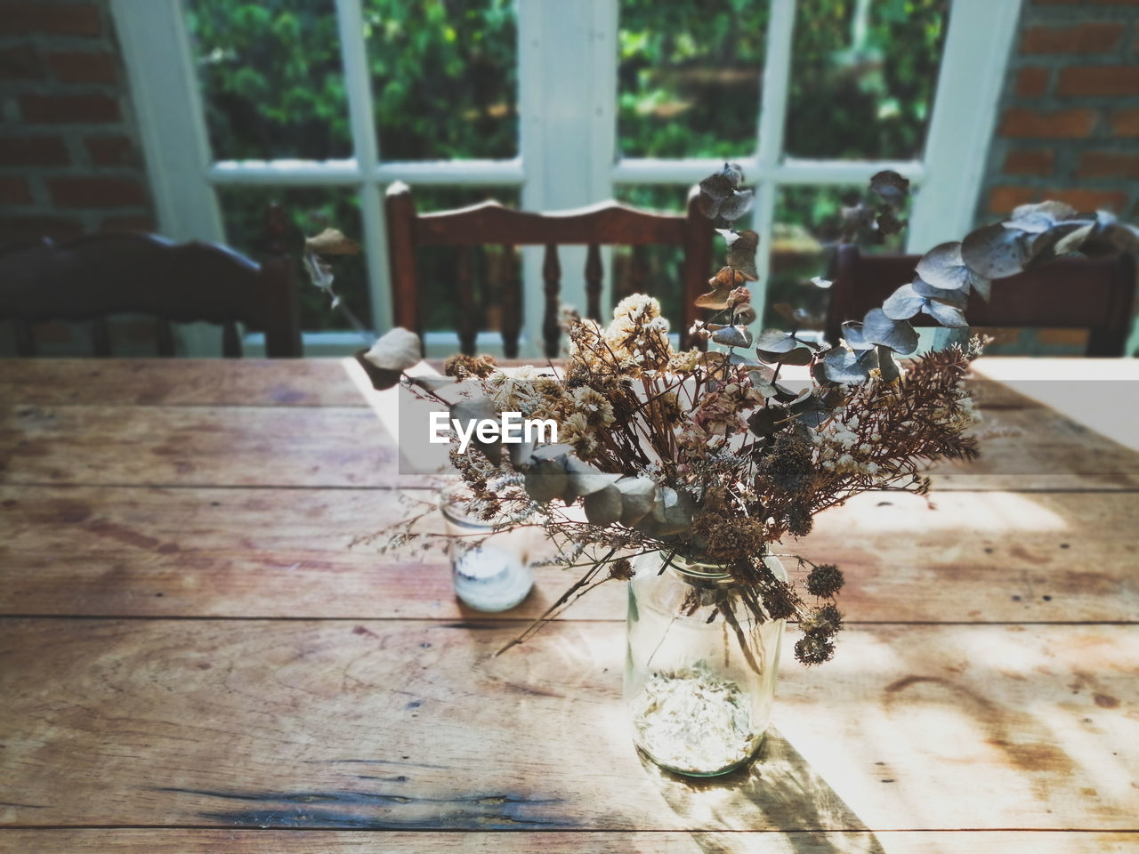 Potted plant on table at home