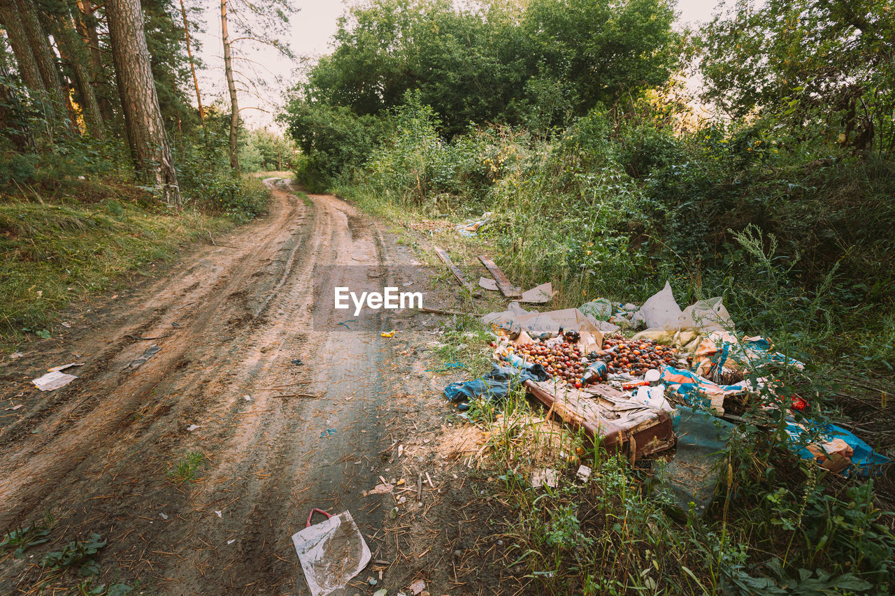 high angle view of road amidst trees