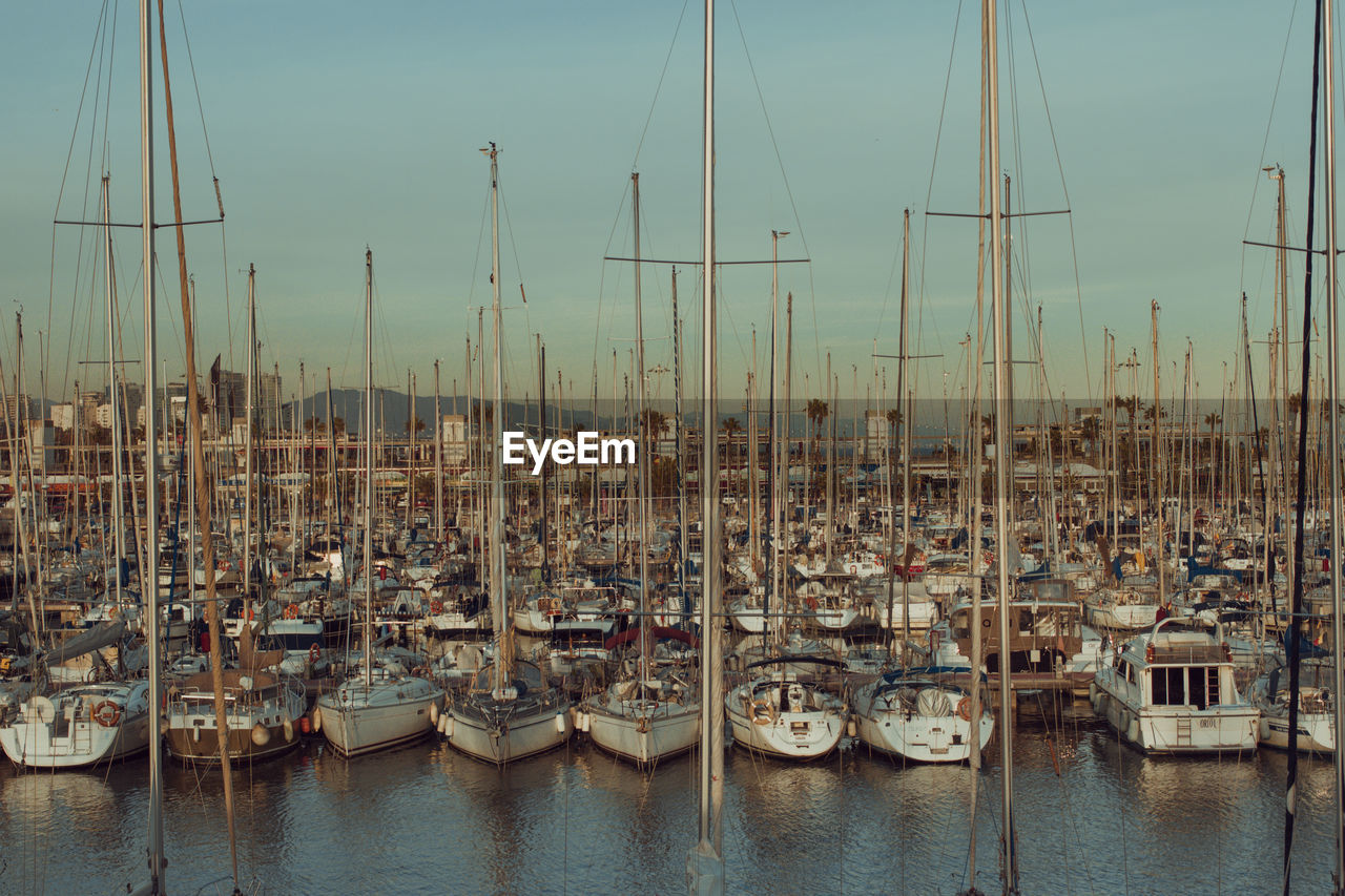 Sailboats moored in harbor