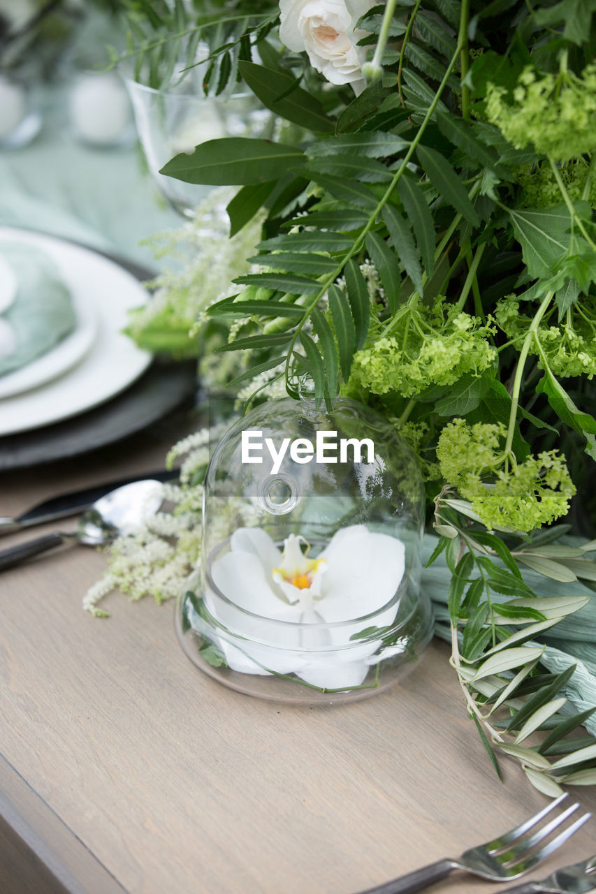 Flower in bottle against plants on table