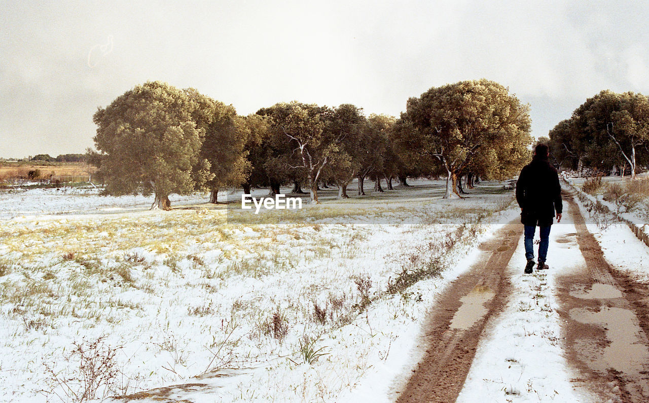 Rear view of man walking on snow covered landscape