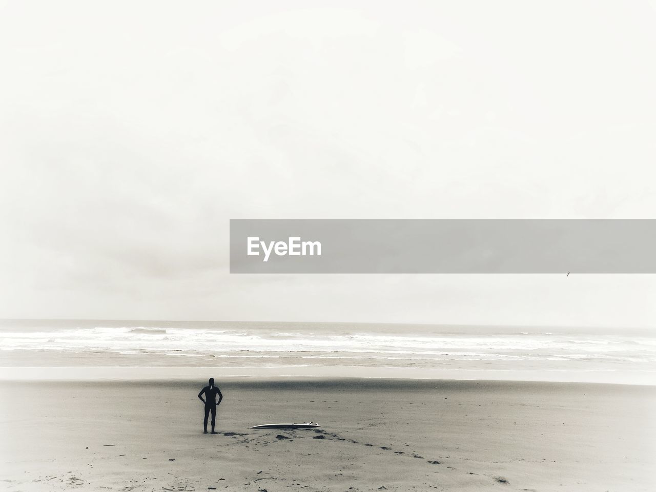 Rear view of man standing on beach against sky