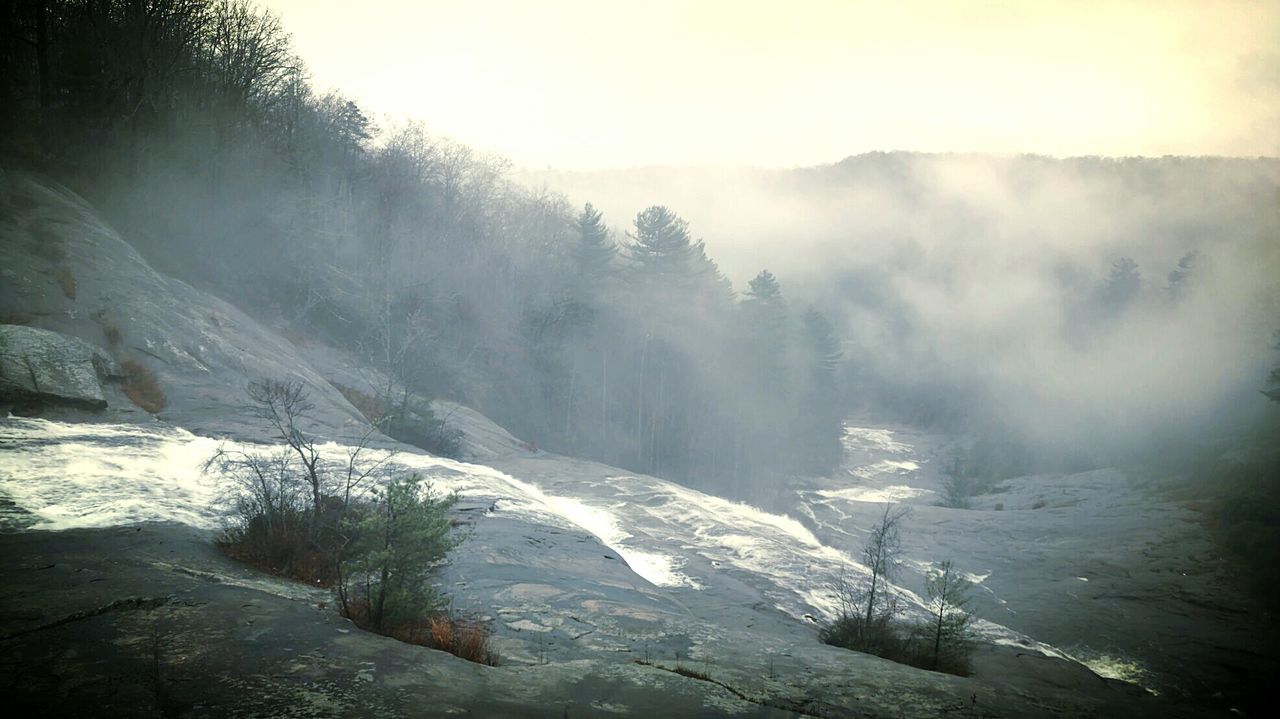 Scenic view of stream with trees during foggy weather