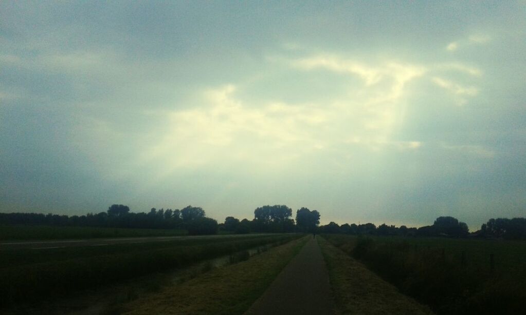 SCENIC VIEW OF FARM AGAINST SKY